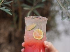 -自由生长植物工作室(深港花卉中心店)