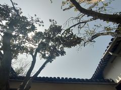 -西园戒幢律寺