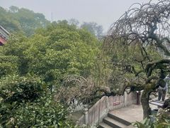 -宁波市保国寺古建筑博物馆