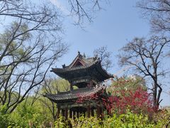 -迎泽公园