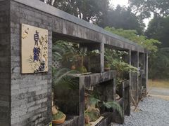 -深圳仙湖植物园