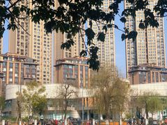 -成都市活水公园