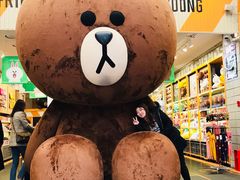 -line friends(明洞旗舰店)