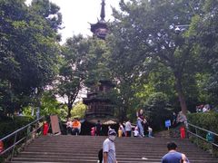 -上海佘山国家森林公园西佘山园