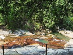 -广州白江湖森林公园