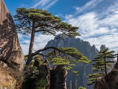 -黄山风景区