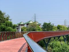 -王借岗森林公园