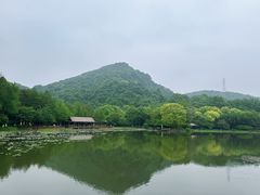 -八卦田遗址公园