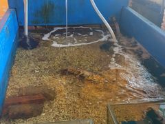 -灯笼馆海鲜餐厅