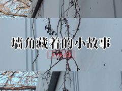 -知春路(地铁站)