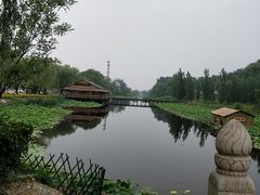 -白洋淀景区