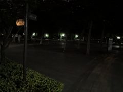 -南翔镇银翔湖公园