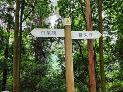 -火炉山森林公园