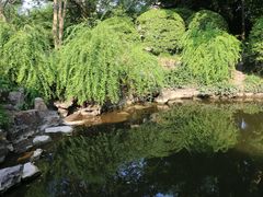-上海醉白池公园