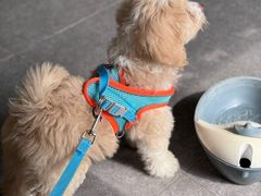 -贝贝宠物乐园(常青花园店)