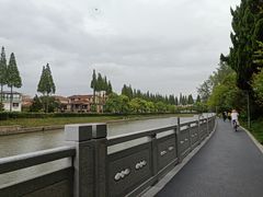 -嘉定紫藤园