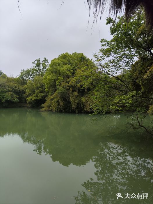 西溪国家湿地公园图片