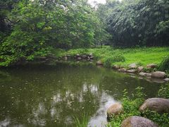 -堤角公园