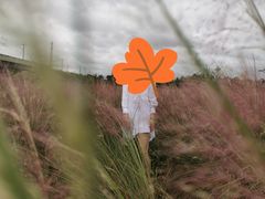 -桤木河湿地公园