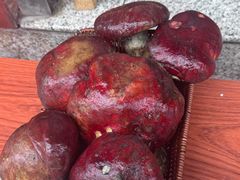 -草墩罗非鱼庄•野生菌•腊排骨(七星街上段店)