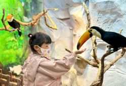 -Zoolung Zoolung动物主题公园(海信广场店)