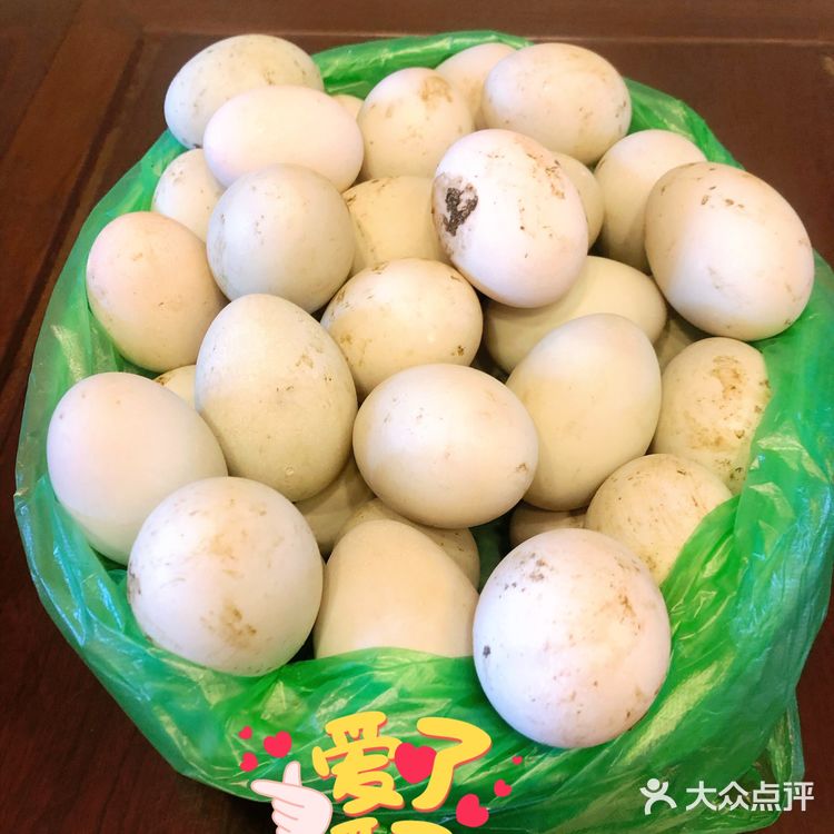 鲜到爆了,太好吃 铁皮石斛鸡汤炖一锅