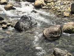-石台牯牛降景区