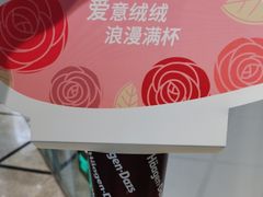 -哈根达斯(美罗城店)