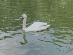 -海南热带野生动植物园