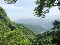 -王顺山国家森林公园
