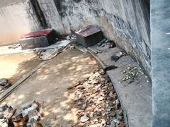 -太子山公园(园东路)