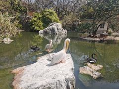-昆明动物园