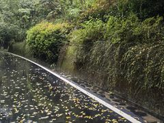 -长谷洞天