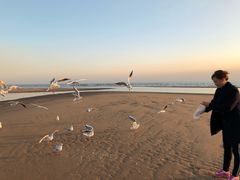 -老虎石海上公园