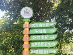 -佛山市三水区大南山森林公园