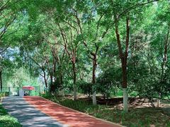 -大兴滨河森林公园