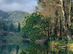 -深圳仙湖植物园
