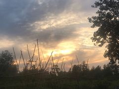 -苹果花园(金耀南路店)