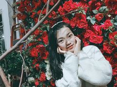 -蓝山四季西餐植物店