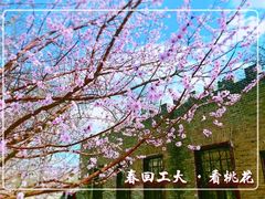 -河北工业大学(北辰校区)