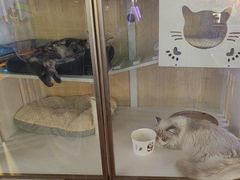 -老炮儿轰趴团建KTV桌游棋牌主题馆(五道口店（底商店))