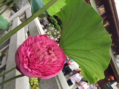 -摩登百货(岗顶店)