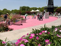 -上海鲜花港