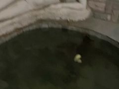 -北京美神宫艺术主题温泉酒店