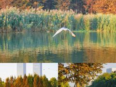 -滨湖塘西河公园