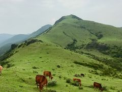 -大姆山草场