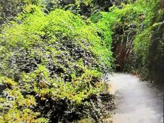 -宝界山林公园