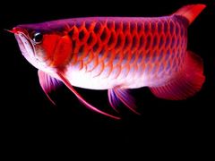 -正清和·推拿养生(和平广场店)