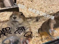 -zoonana室内动物园(东方福来德店)