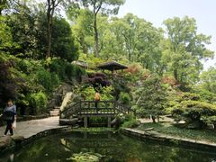 -南山植物园